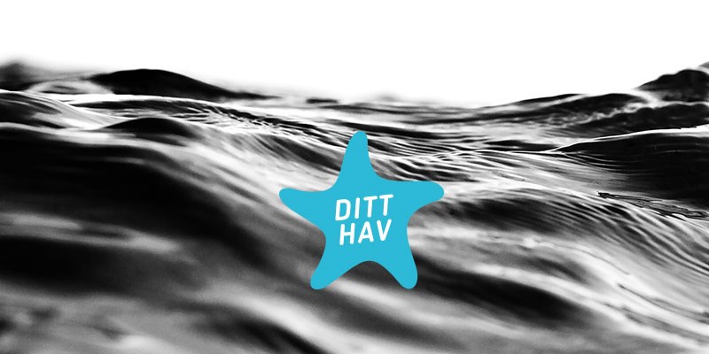 Håll havet rent